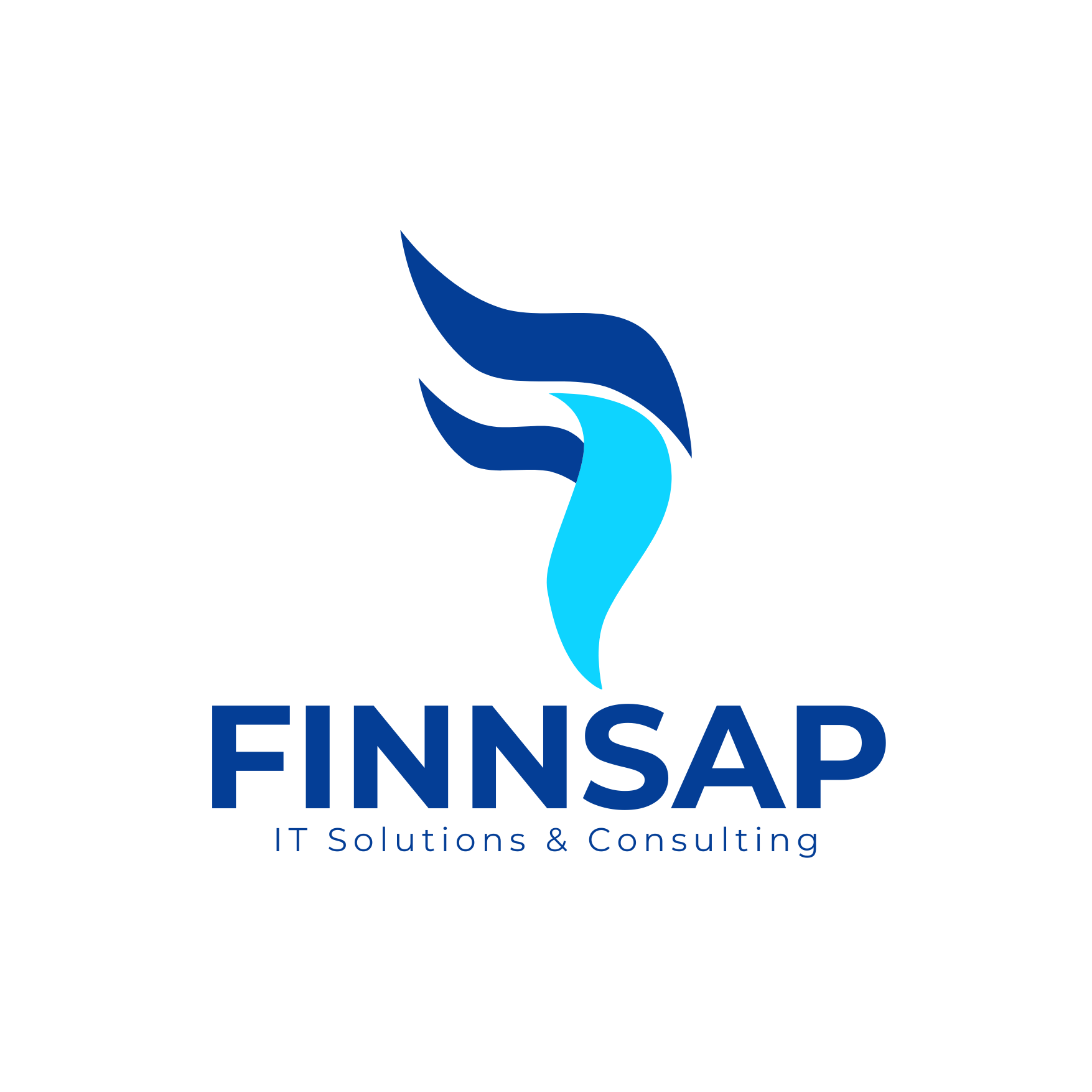 finnsap logo